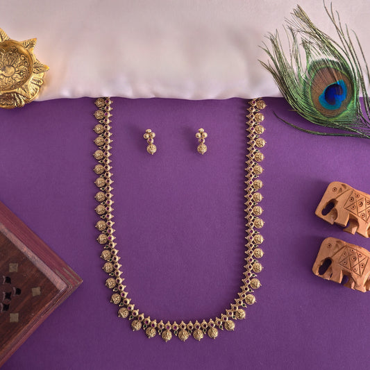 Lakshmi Kasulu Haaram SM63119