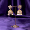 Graceful Jhumka SM72102